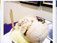 -Dooley's Premium Ice Cream