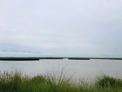 -哈素海