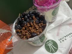 -茉酸奶(春熙路店)