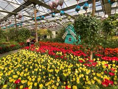 -南宫五洲植物乐园