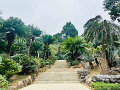 -深圳仙湖植物园