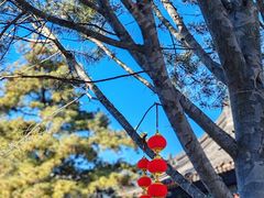 -大钟寺古钟博物馆