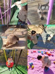 -萌宠亲子动物乐园(槐房万达店)