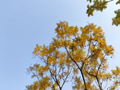 -重庆熙街
