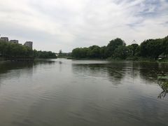 -新江湾城公园