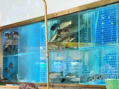 -顺峰顺水顺德菜(龙华店)