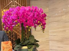 -上海小南国(国发店)