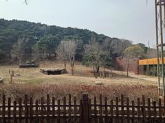 -沈阳森林动物园