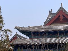 -大槐树寻根祭祖园