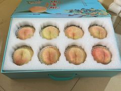 -老袁家蜜桃农场·阳山水蜜桃