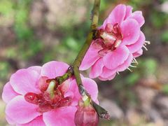 -贡湖湾湿地公园