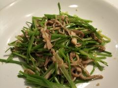 芫蓿牛肉丝-YAFEE雅菲·粤菜·湘菜·融合菜(魏公村店)