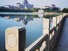 -莲花池公园