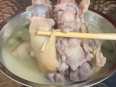 -胖娃滋补蹄花