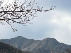 -北京鹫峰国家森林公园
