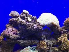 -石家庄极地海洋世界