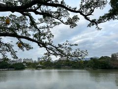 -江心屿景区