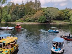 -上海共青森林公园