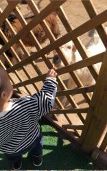 -萌宠亲子动物乐园(槐房万达店)