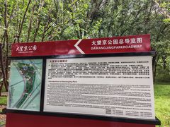 -大望京公园