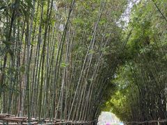 -筼筜书院