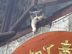 -紫阳古街