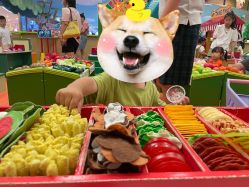 -莫莉幻想儿童乐园(武汉经开永旺店)