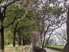 -艾溪湖湿地公园