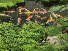 -罗红摄影艺术馆