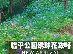 -临平公园(临平街道)
