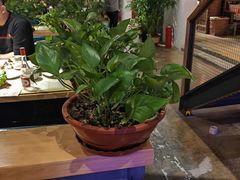 -陶老爷城一锅羊蝎子(西四路店)