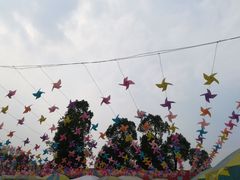 -秀丽东方