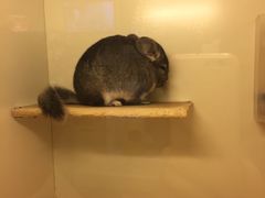 -龙猫仔乐园(惠福东路店)