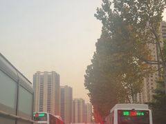 -313羊庄鲜羊火锅·鲜羊肉烧烤(李村店)