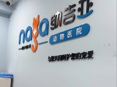 -纳吉亚猫专科动物诊疗中心(蒋宅口分院)