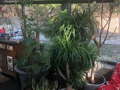 -北马山庄植趣咖啡