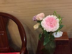 -升艾堂·经络·艾灸·气血(成山路店)