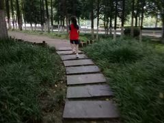 -后襄河公园