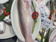 -杨记海鲜楼(三门黑金冠店)