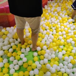 点击看大图 -宝燕乐园(闵行旗舰店)