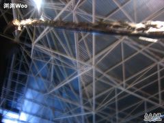 -世界恐龙谷景区