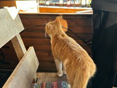 -马灯部落·西湖边的创意山景餐厅(虎跑动物园店)