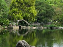 -广西壮族自治区药用植物园