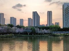 -怡海公园(桂城街道)