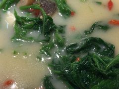 -金苑酒家·客家菜·广东老字号(万象店)
