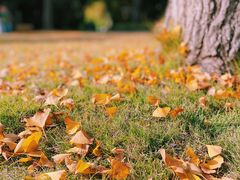 -苏州河梦清园环保主题公园