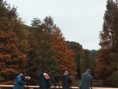 -云溪植物园