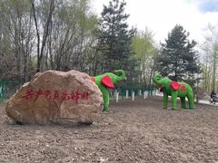 -长白岛森林公园