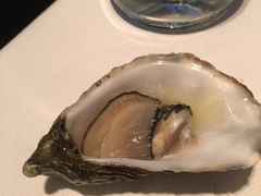 法国吉拉多生蚝-AZUR聚(香格里拉饭店)