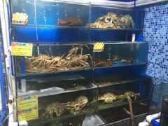 -蚝专家(北滘店)